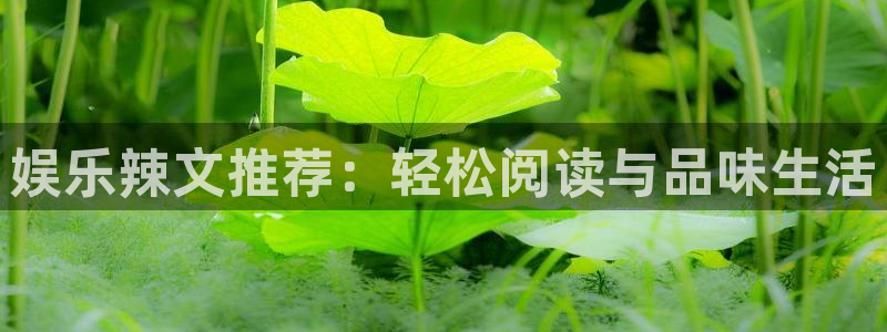 门徒平台注册中心：娱乐辣文推荐：轻松阅读与品味生活