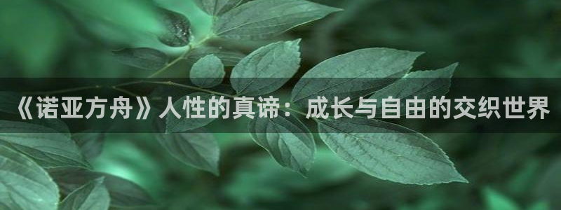 门徒娱乐官方平台入口：《诺亚方舟》人性的真谛：成长与自由的交织世界