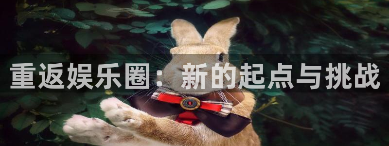 门徒娱乐app官方版下载：重返娱乐圈：新的起点与挑战