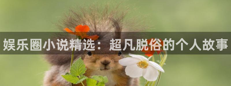 门徒平台登陆：娱乐圈小说精选：超凡脱俗的个人故事